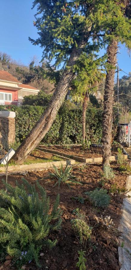 Holiday Home Nives Τίβατ Εξωτερικό φωτογραφία
